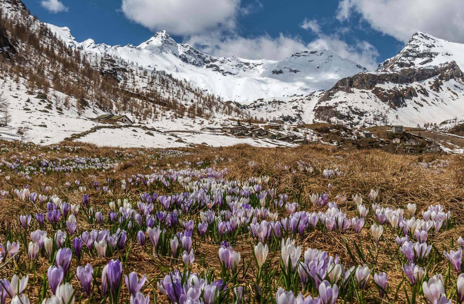 Belcolle, Il Bello Della Tranquillita كيافينا المظهر الخارجي الصورة